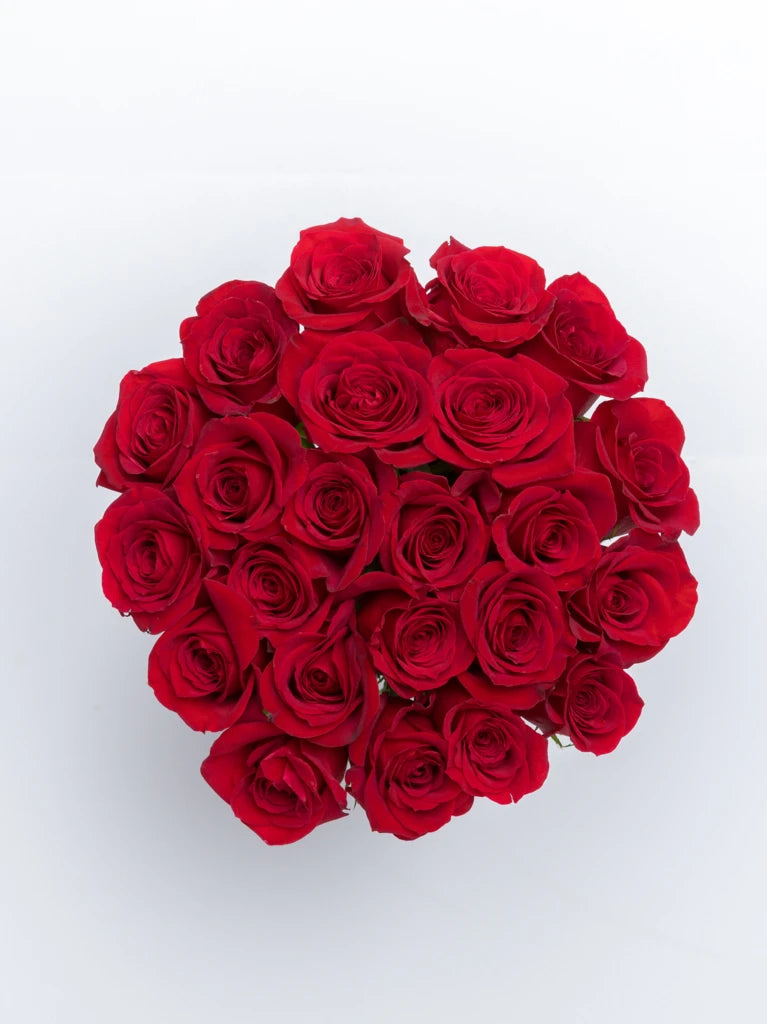 Affectionate Love Red Roses