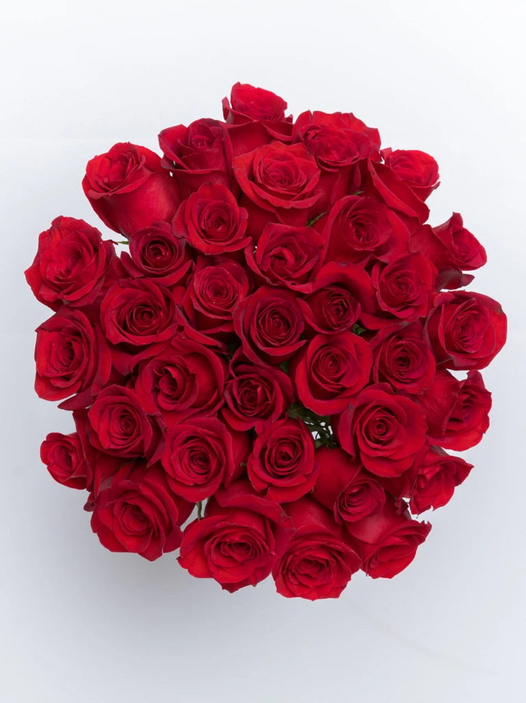 Affectionate Love Red Roses