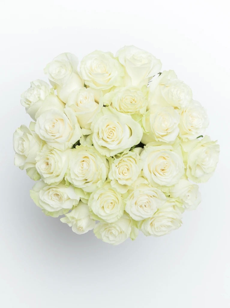 Pure Love White Roses