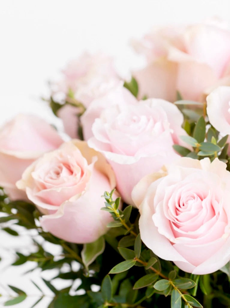 Sweet Love Pink Roses