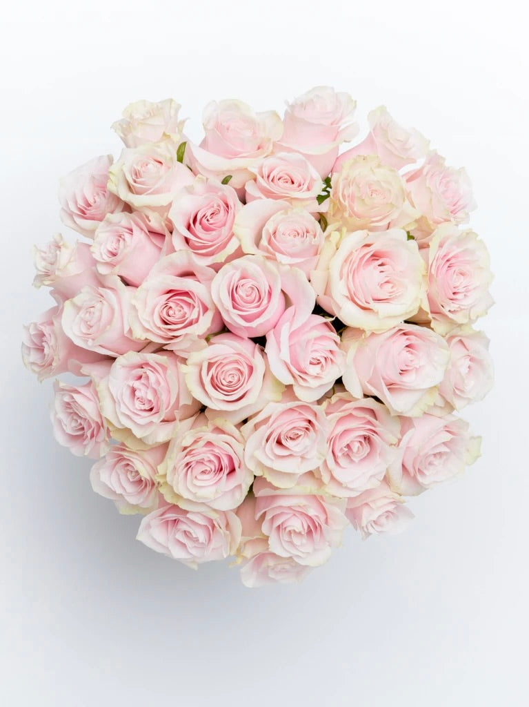 Sweet Love Pink Roses